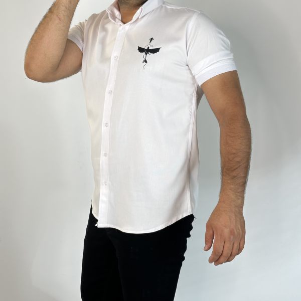 تصویر  پیراهن بازوکش